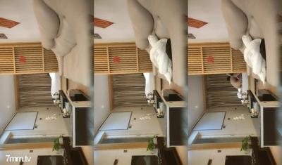 2022-1-24 &quot타오, 미친게 아니야&quot오늘 밤 주변 탐험, 나쁘지 않은 20 대 아르바이트 소녀, 날씬한 다리와 날씬한 몸매, 머리를 목에 묻고 성기를 핥았 고, 그녀의 음부를 엿
